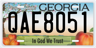 GA license plate QAE8051
