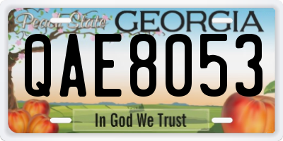 GA license plate QAE8053