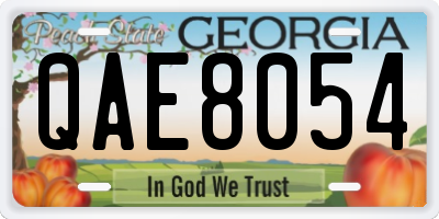 GA license plate QAE8054