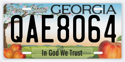 GA license plate QAE8064