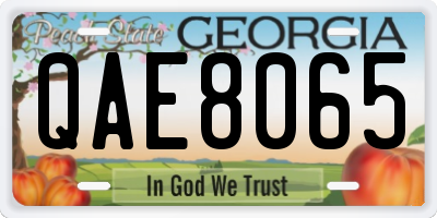 GA license plate QAE8065