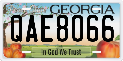 GA license plate QAE8066