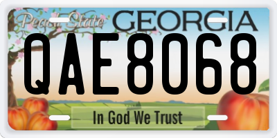 GA license plate QAE8068