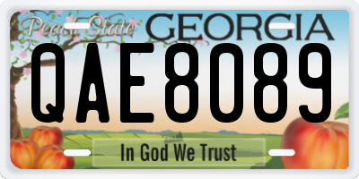 GA license plate QAE8089