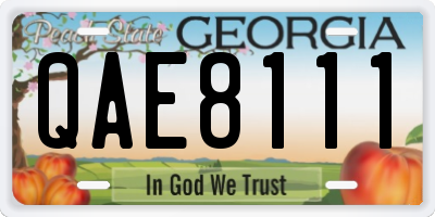 GA license plate QAE8111