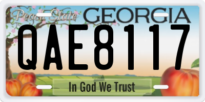 GA license plate QAE8117