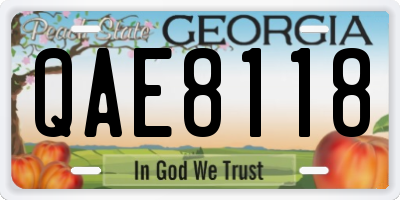 GA license plate QAE8118