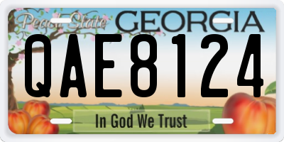 GA license plate QAE8124