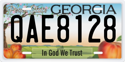 GA license plate QAE8128