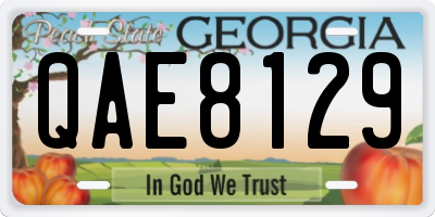 GA license plate QAE8129