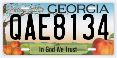 GA license plate QAE8134