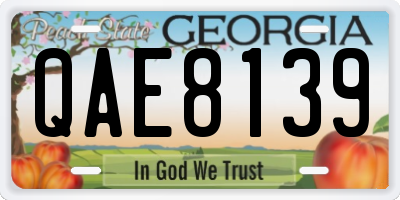 GA license plate QAE8139