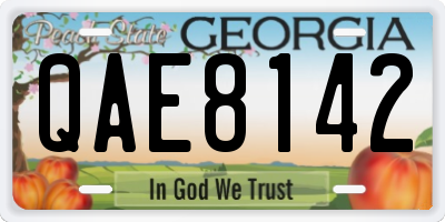 GA license plate QAE8142