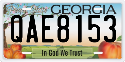 GA license plate QAE8153