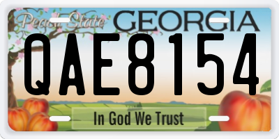 GA license plate QAE8154