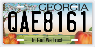 GA license plate QAE8161