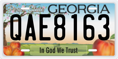 GA license plate QAE8163