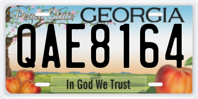 GA license plate QAE8164