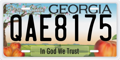 GA license plate QAE8175