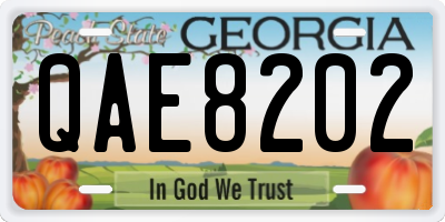 GA license plate QAE8202