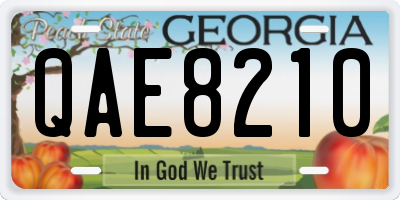 GA license plate QAE8210