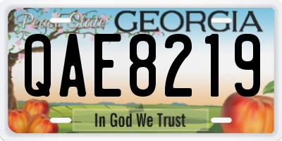 GA license plate QAE8219