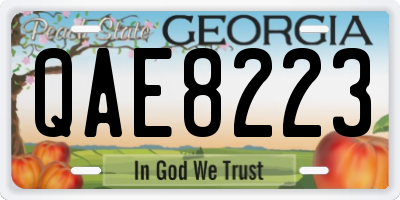 GA license plate QAE8223