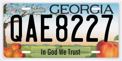 GA license plate QAE8227