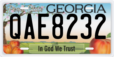 GA license plate QAE8232