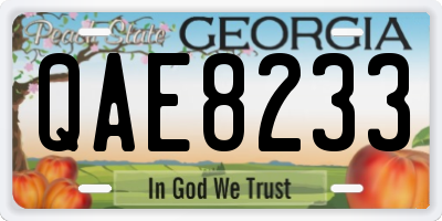 GA license plate QAE8233