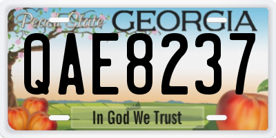 GA license plate QAE8237