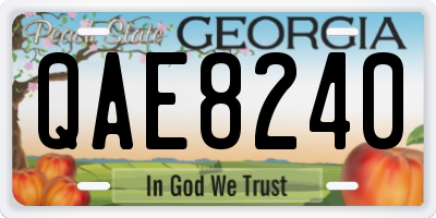 GA license plate QAE8240