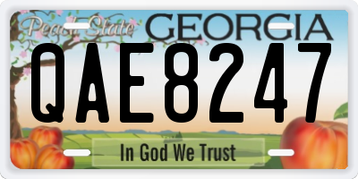GA license plate QAE8247