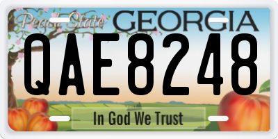 GA license plate QAE8248