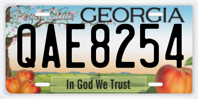 GA license plate QAE8254