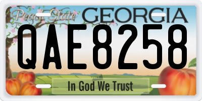 GA license plate QAE8258