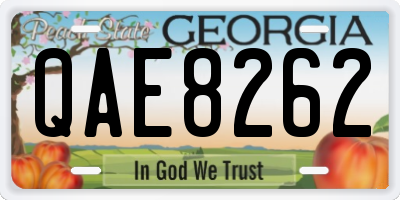 GA license plate QAE8262