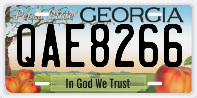 GA license plate QAE8266