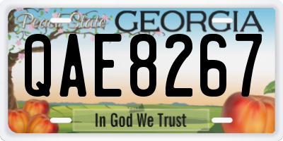 GA license plate QAE8267
