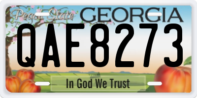 GA license plate QAE8273