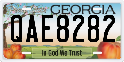 GA license plate QAE8282