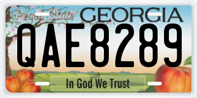 GA license plate QAE8289