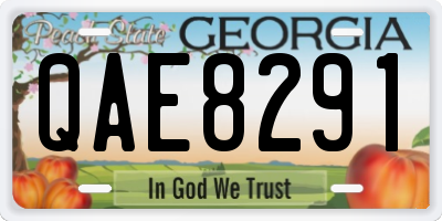 GA license plate QAE8291