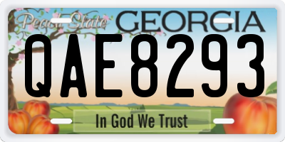 GA license plate QAE8293