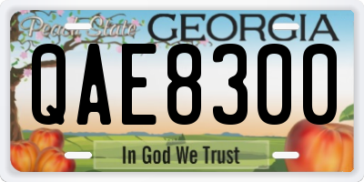 GA license plate QAE8300