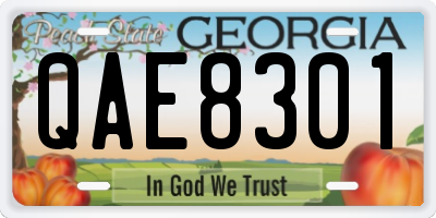 GA license plate QAE8301