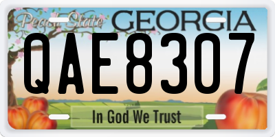 GA license plate QAE8307