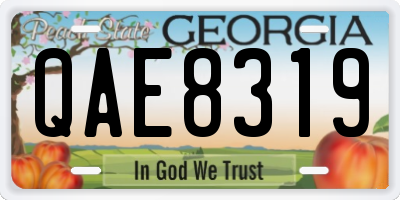 GA license plate QAE8319