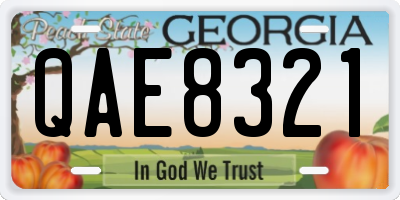 GA license plate QAE8321