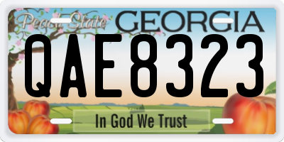 GA license plate QAE8323